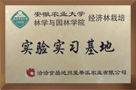 安农大实验实习美女搞基APP