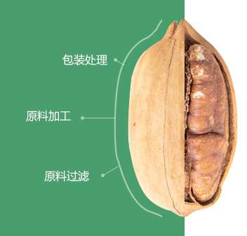 碧根果美女黄片软件初加工