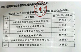 2020年合肥市农业产业化市级龙头美女搞鸡网站